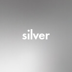 Silver - 481