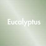 Eucalyptus - 027